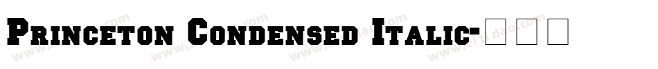Princeton Condensed Italic字体转换